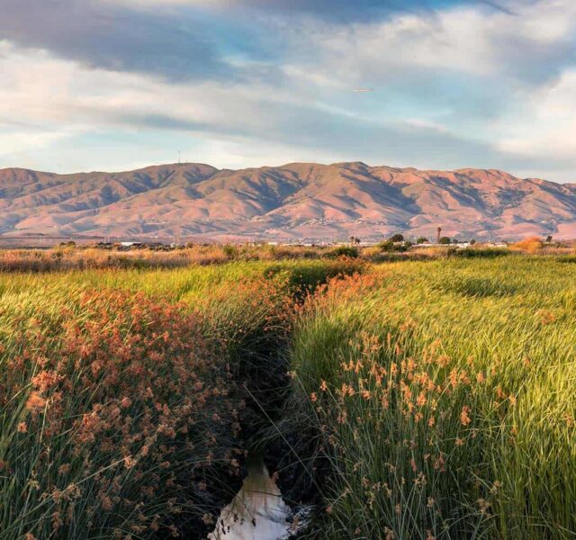 best-hikes-san-jose-ca