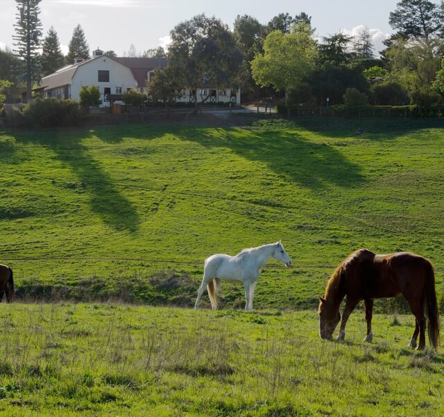 1620px-Westwind_Community_Barn_Los_Altos_Hills