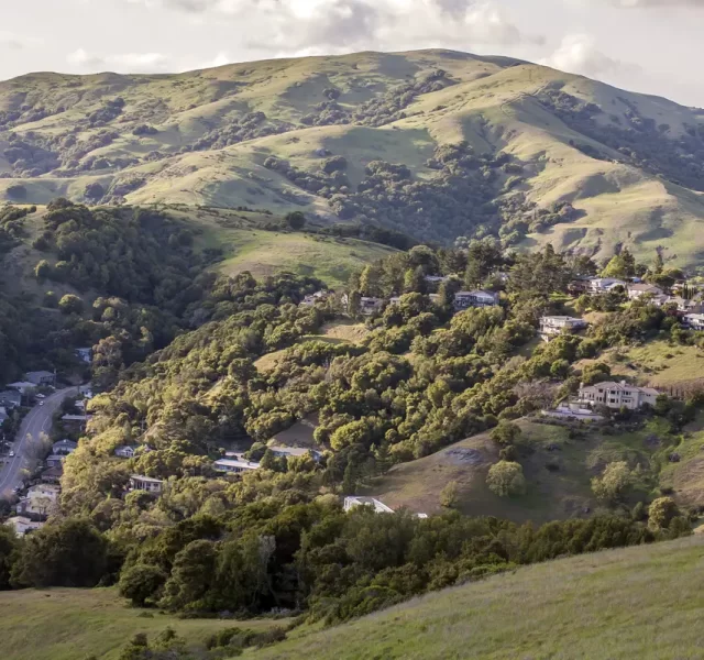 marin_county_hills_shutterstock_174488933-1493397245-6692