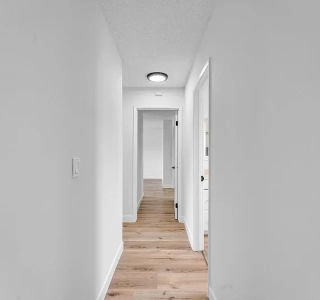 52e5de2851d1372f9289770902d0d410-uncropped_scaled_within_1536_1152.webp