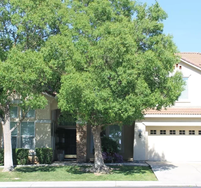 9927-night-heron-way-elk-grove-ca-buildingphoto-30