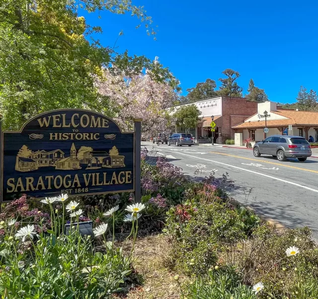 the-golden-triangle-saratoga-ca-2